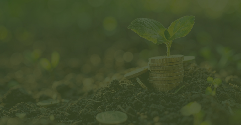 investment-and-trade